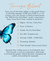 Costa Rican Tarrazú Blend